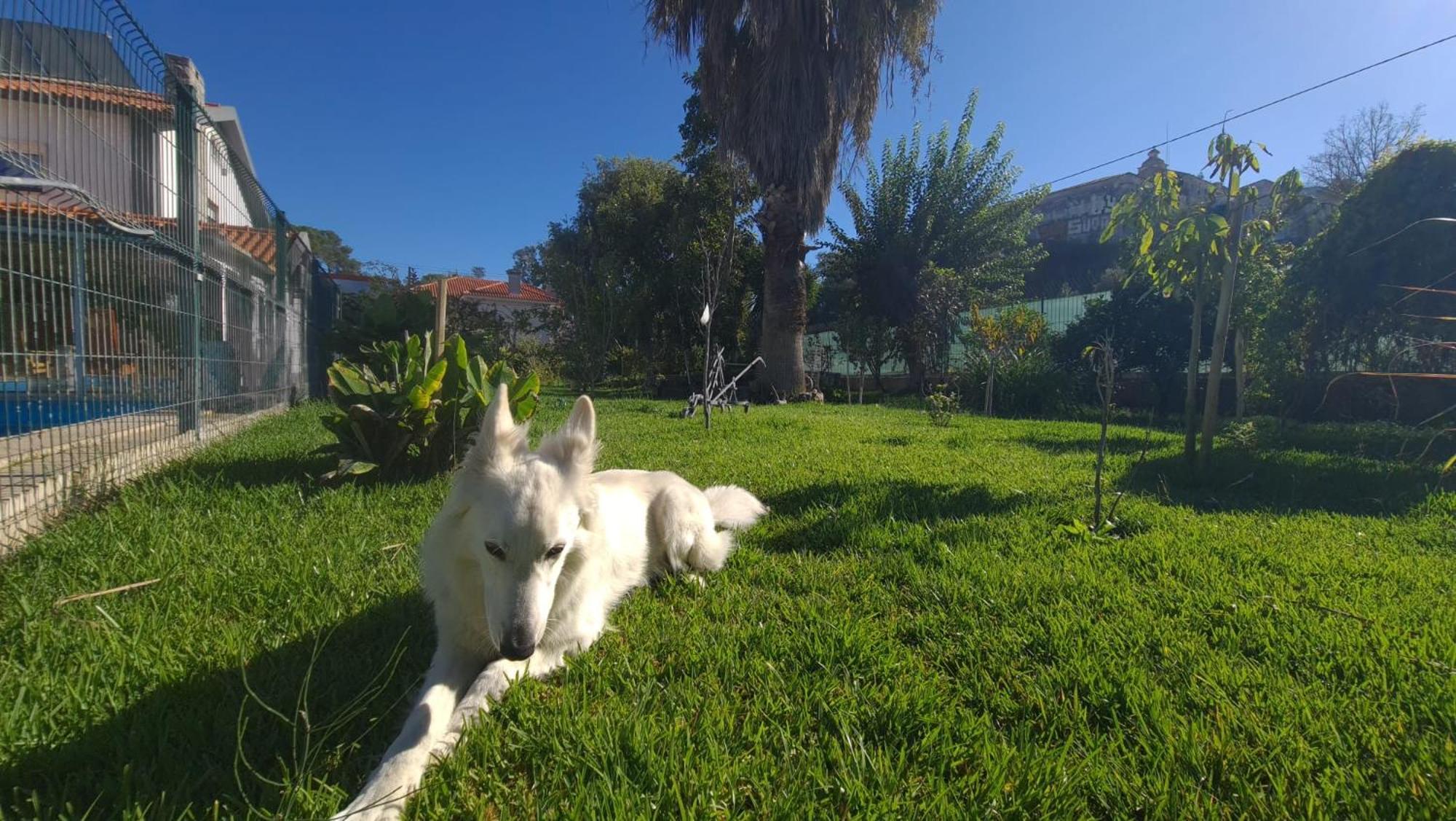 שטובל Hostel Jardins De Sao Luis מראה חיצוני תמונה